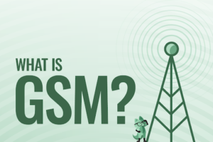 Cellular Network Discovery Methodology and IMSI Analysis